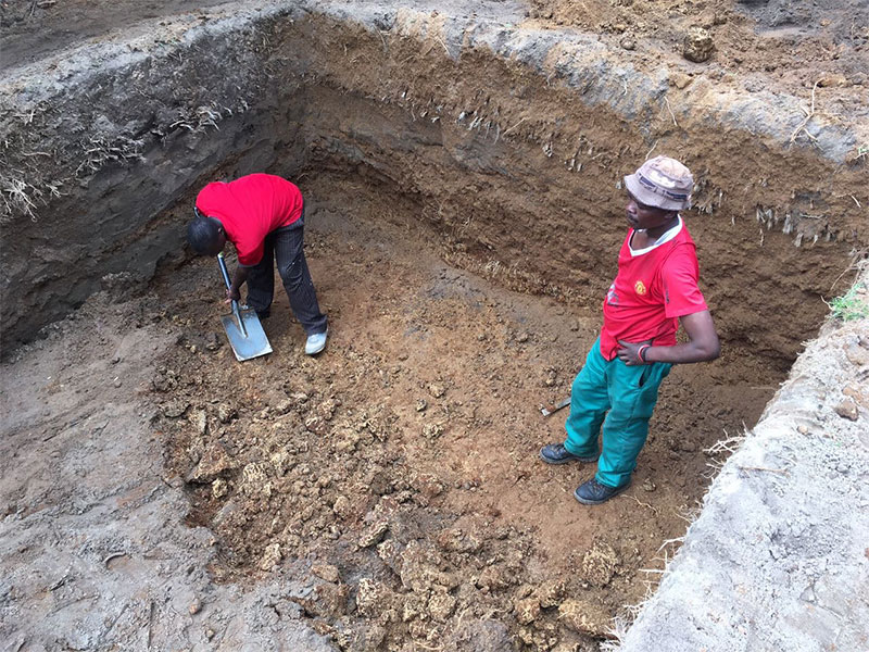 Elite Pools and Spas